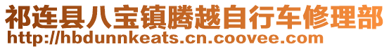 祁连县八宝镇腾越自行车修理部