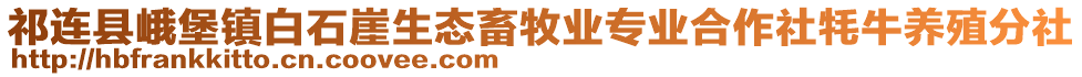 祁連縣峨堡鎮(zhèn)白石崖生態(tài)畜牧業(yè)專業(yè)合作社牦牛養(yǎng)殖分社