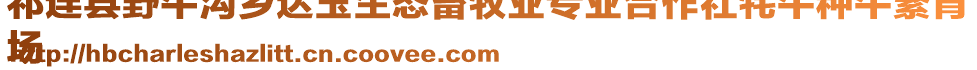 祁連縣野牛溝鄉(xiāng)達(dá)玉生態(tài)畜牧業(yè)專業(yè)合作社牦牛種牛繁育
場