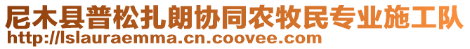 尼木縣普松扎朗協(xié)同農(nóng)牧民專業(yè)施工隊(duì)