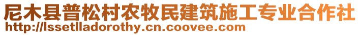 尼木縣普松村農(nóng)牧民建筑施工專業(yè)合作社