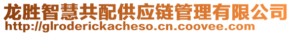 龍勝智慧共配供應(yīng)鏈管理有限公司