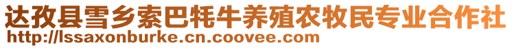 達(dá)孜縣雪鄉(xiāng)索巴牦牛養(yǎng)殖農(nóng)牧民專業(yè)合作社