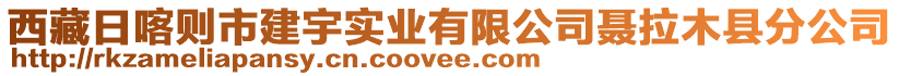 西藏日喀則市建宇實業(yè)有限公司聶拉木縣分公司