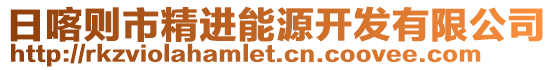 日喀則市精進能源開發有限公司