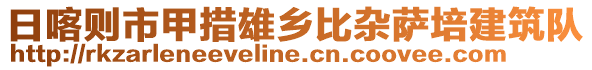 日喀则市甲措雄乡比杂萨培建筑队