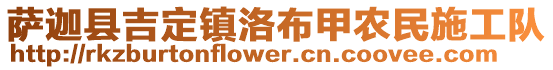 薩迦縣吉定鎮(zhèn)洛布甲農(nóng)民施工隊(duì)