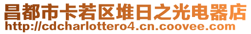 昌都市卡若區(qū)堆日之光電器店