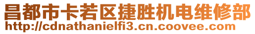 昌都市卡若區(qū)捷勝機(jī)電維修部