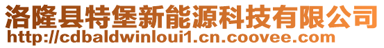 洛隆縣特堡新能源科技有限公司