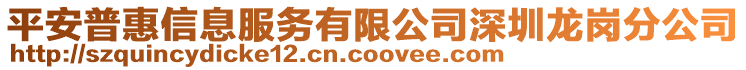 平安普惠信息服務有限公司深圳龍崗分公司