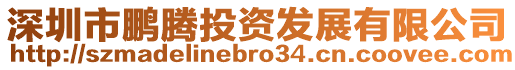 深圳市鵬騰投資發展有限公司