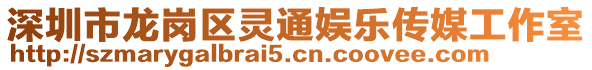 深圳市龍崗區(qū)靈通娛樂傳媒工作室