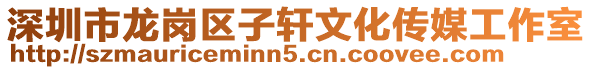深圳市龍崗區(qū)子軒文化傳媒工作室