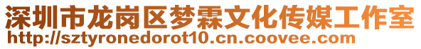 深圳市龍崗區夢霖文化傳媒工作室