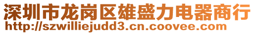 深圳市龍崗區雄盛力電器商行