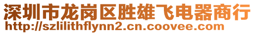 深圳市龍崗區(qū)勝雄飛電器商行