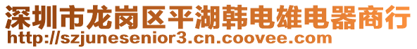 深圳市龍崗區(qū)平湖韓電雄電器商行