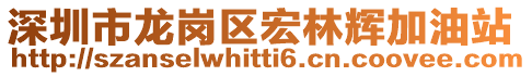 深圳市龍崗區宏林輝加油站
