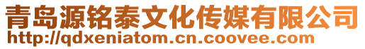 青島源銘泰文化傳媒有限公司