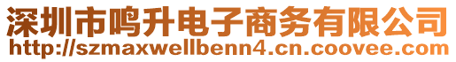 深圳市鳴升電子商務有限公司