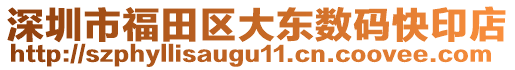 深圳市福田區(qū)大東數(shù)碼快印店