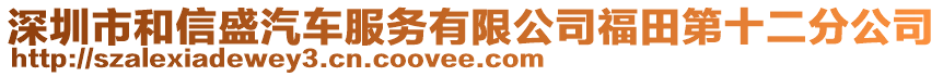 深圳市和信盛汽車服務有限公司福田第十二分公司