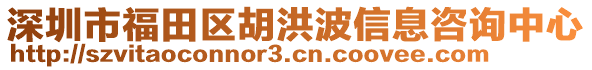 深圳市福田區(qū)胡洪波信息咨詢中心