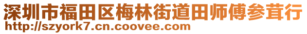 深圳市福田區(qū)梅林街道田師傅參茸行