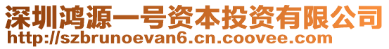 深圳鴻源一號資本投資有限公司