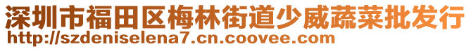 深圳市福田區(qū)梅林街道少威蔬菜批發(fā)行