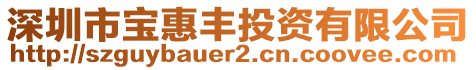 深圳市寶惠豐投資有限公司