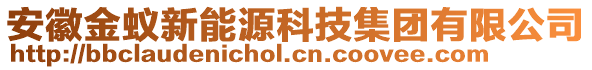 安徽金蚁新能源科技集团有限公司