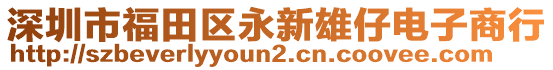 深圳市福田區(qū)永新雄仔電子商行