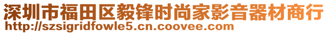 深圳市福田區(qū)毅鋒時(shí)尚家影音器材商行