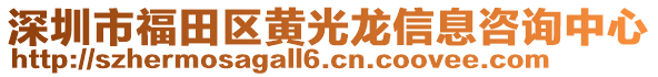 深圳市福田區(qū)黃光龍信息咨詢中心