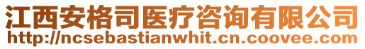 江西安格司醫療咨詢有限公司