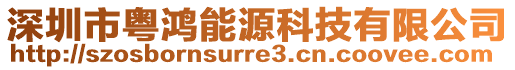 深圳市粵鴻能源科技有限公司