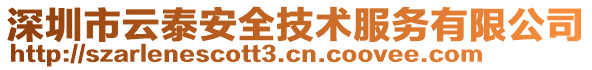 深圳市云泰安全技術服務有限公司