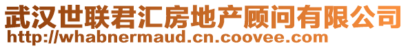 武漢世聯(lián)君匯房地產(chǎn)顧問有限公司