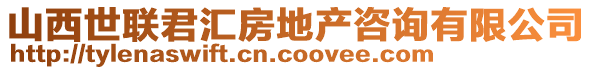 山西世聯(lián)君匯房地產(chǎn)咨詢(xún)有限公司