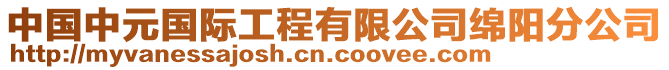 中國(guó)中元國(guó)際工程有限公司綿陽分公司