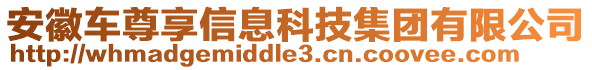 安徽車尊享信息科技集團(tuán)有限公司