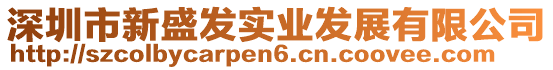 深圳市新盛发实业发展有限公司