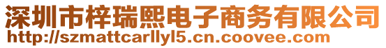 深圳市梓瑞熙電子商務有限公司