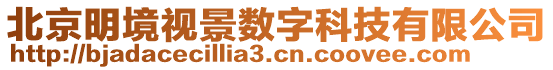 北京明境视景数字科技有限公司