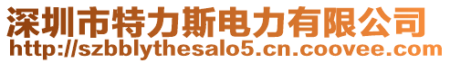 深圳市特力斯电力有限公司