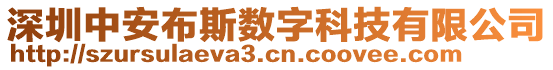 深圳中安布斯數(shù)字科技有限公司