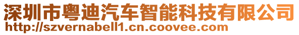 深圳市粵迪汽車智能科技有限公司