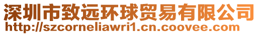 深圳市致遠(yuǎn)環(huán)球貿(mào)易有限公司